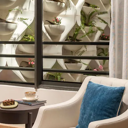 리조트 Swissotel Living Bodrum 군도간