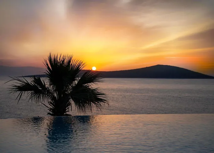 Swissôtel Living 5*