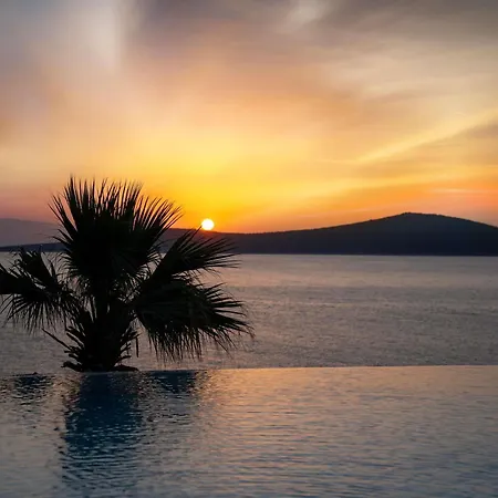 Swissôtel Living 5*